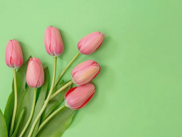 Lale Çiçeği Demeti Pastel Yeşil Arka Planda Pembe Renk Kadın — Stok fotoğraf