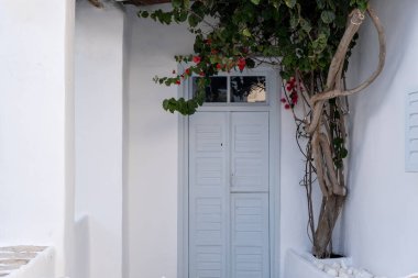 Yunanistan, Kiklad. Gri ahşap, yakın, beyaz kapılı taş duvar, Yunan adası tipik mimarisi, süslemeli kırmızı bougainvillea bitkisi. Yaz tatili.