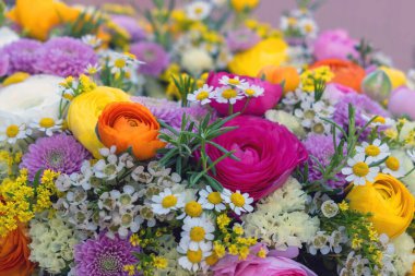 Taze renkli yabani çiçekler ve otların arka planı, yakın görüş. Bahçe doğası çiçek açıyor, Bahar. Kadınlar ya da Anneler Günü buketi