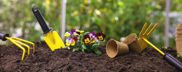 Plant Pansies Garden Gardening Tools Plants Soil Close View Banner — стокове фото