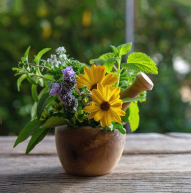 Fresh herbs in a mortar, herbal medicine, alternative healing. Mint, rosemary, basil and lavender aromatic leaves, on a wooden table, copy space