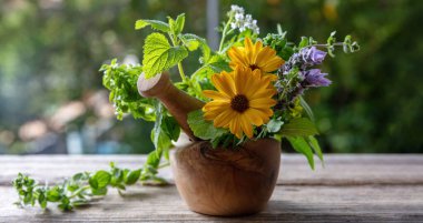 Mint, rosemary, basil and lavender aromatic leaves, on a wooden table. Fresh herbs in a mortar, herbal medicine, alternative healing, copy space