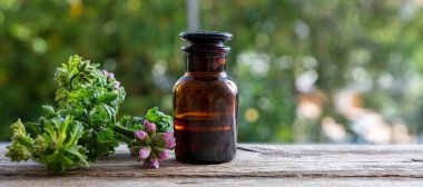 Citronella sardunya, ahşap masanın üzerinde gerekli cam yağ şişesi, manzarayı kapat. Aromaterapi yağı, sivrisinek kovucu, bulanık doğa geçmişi