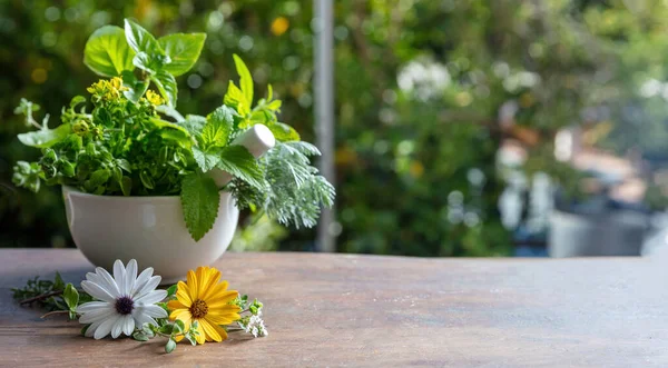 Fresh Herbs Mortar Herbal Medicine Alternative Healing Mint Rosemary Basil — Stock Photo, Image