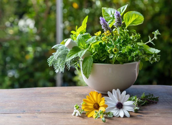 Fresh Herbs Mortar Herbal Medicine Alternative Healing Mint Rosemary Basil — Photo