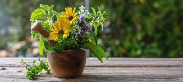 Fresh Herbs Mortar Herbal Medicine Alternative Healing Mint Rosemary Basil — Stock Photo, Image