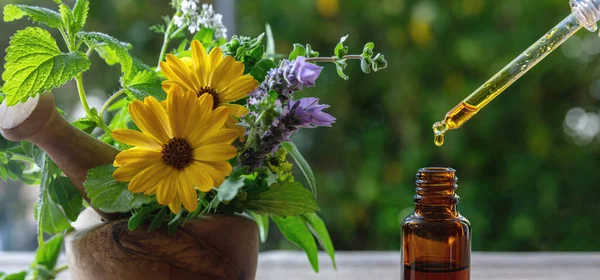 Médecine Douce Goutte Huile Essentielle Tombant Dans Une Bouteille Verre — Photo