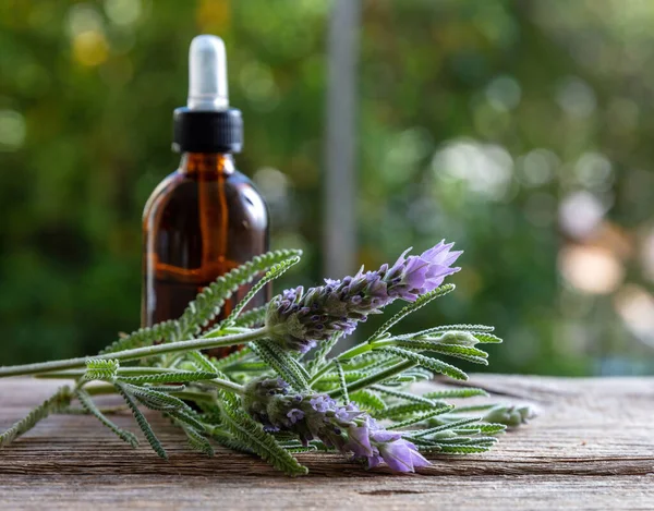 Lavanta esanslı cam şişeyi ahşap masaya koy, manzarayı kapat, boşluğu kopyala. Aromaterapi çiçek açan bitki, bulanık doğa geçmişi