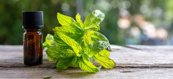 Peppermint Mint Essential Oil Glass Bottle Wooden Table Close View — Foto de Stock