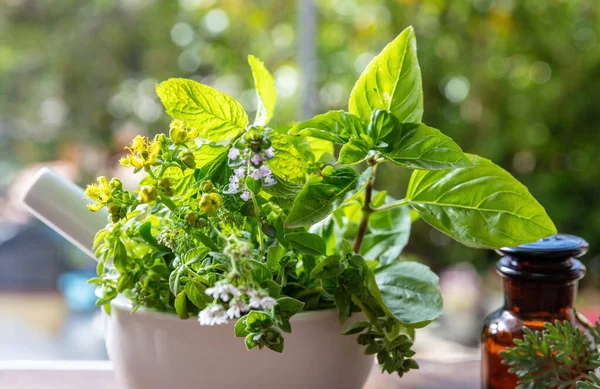 Fresh Herbs Mortar Herbal Medicine Alternative Healing Mint Rosemary Basil — Stockfoto