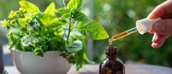 Essential Oil Drop Falling Glass Bottle Close Alternative Health Medicine — Stockfoto