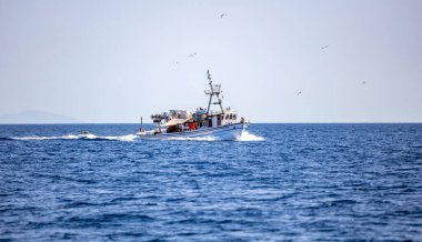 Ege 'de balıkçı teknesi dalgalı denizde yelken açtı. Martı sürüsü yiyecek arayan bir balıkçı teknesini takip ediyor, mavi gökyüzü arka planı. Cyclades Yunanistan.