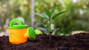 Bahçe işleri, çocuklar oyun ve eğlence. Çocuklar konserve sulama, taze tohum, toprakta filizlenme. Tarım, organik bahçe ve ekoloji. Bebek bitkisi konsepti.