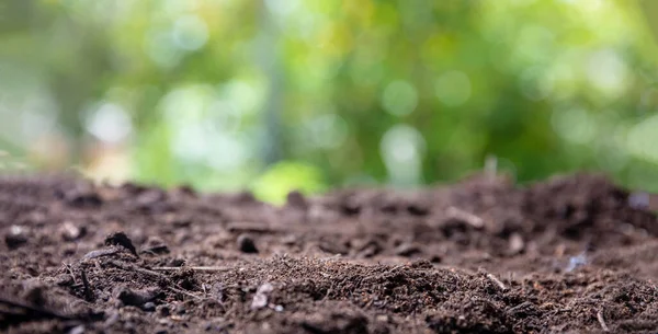 Solo Perto Borrão Verde Natureza Fundo Sujidade Seca Fértil Castanha — Fotografia de Stock