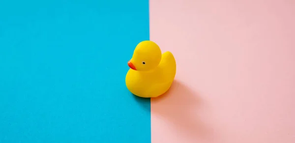 Gummibadeente Auf Pastellrosa Blauem Hintergrund Gelbe Floß Entenspielzeug Spiel Und — Stockfoto