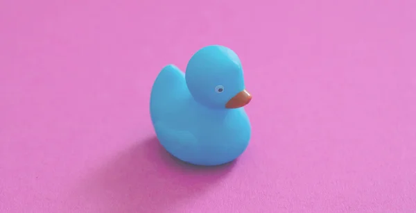 Blaue Plastikente Isoliert Auf Rosa Hintergrund Babybad Traditionelles Spaßspielzeug Gummientchen — Stockfoto