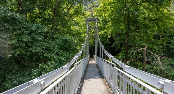 ピネオス川に架かる狭い吊り橋 ギリシャ テンピの谷 テッサリア 大きな緑の木の背景 — ストック写真