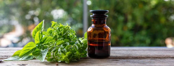 Aceite Esencial Albahaca Planta Aromática Culinaria Terapéutica Aromaterapia Homeopatía Gran —  Fotos de Stock