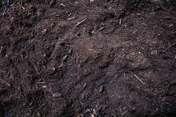 Soil texture background, top view. Fertile dirt, Earth, ground close up. Agriculture and garden works templat