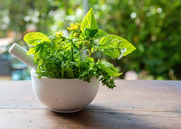 Fresh Herbs Mortar Herbal Medicine Alternative Healing Mint Rosemary Basil — Stockfoto