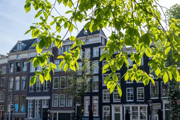Amsterdam Residential Neighborhood Traditional Tile Roof House Brick Wall Facade — Stock Photo, Image