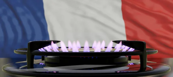 Natural Gas supply in France, cooking cost concept. Burning gas, kitchen stove burner on French flag background. 3d render