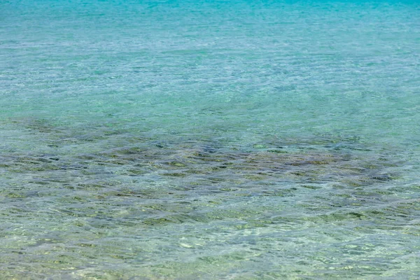 Sea Shallow Water Turquoise Blue Color Background Calm Transparent Water — Stockfoto