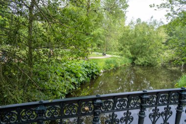 Amsterdam, Vondelpark, Hollanda. Bitkilerle çevrili metal köprüden ve yemyeşil yapraklı ağaçlardan, göletten. Aşk sembolü köprüdeki asma kilit.