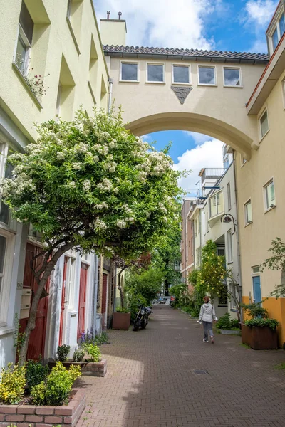 Holanda Ciudad Leiden Lady Camina Entre Edificios Tradicionales Que Están —  Fotos de Stock