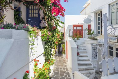 Naxos Adası, Yunanistan. Geleneksel Cyclades mimarisi beyazlatılmış binalar, bitkiler ve çiçekler, hediyelik eşya dükkanı, asfalt sokak. Yaz tatili.