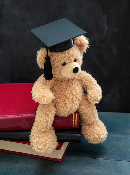 Studentisches Bildungskonzept Teddybär Mit Mütze Und Büchern Auf Der Schulbank — Stockfoto