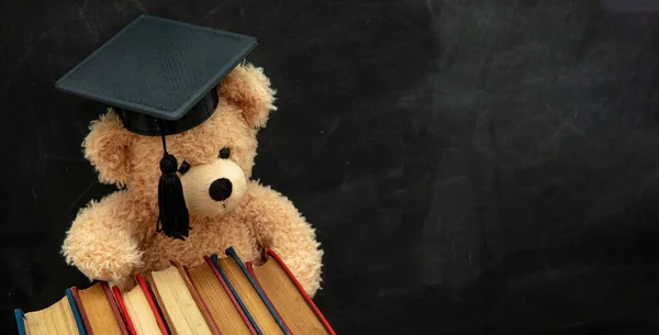 Φοιτητική Εκπαίδευση Αρκουδάκι Καπέλο Αποφοίτησης Και Σχολικά Βιβλία Μαύρο Φόντο — Φωτογραφία Αρχείου