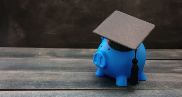Plano Financeiro Educação Bolsa Estudo Empréstimo Estudantil Custo Escolar Piggybank — Fotografia de Stock