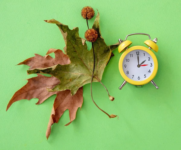 Ritirati Ora Legale Ora Indietro Orologio Giallo Foglie Autunnali Sfondo — Foto Stock