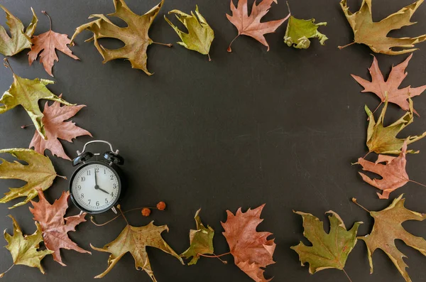 Fall Back, Daylight Saving Time. Black alarm clock and autumn leaves frame on black background, top view, tepmlat