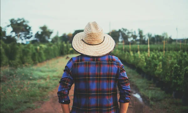 Gardener Working Garden — Stock Photo, Image