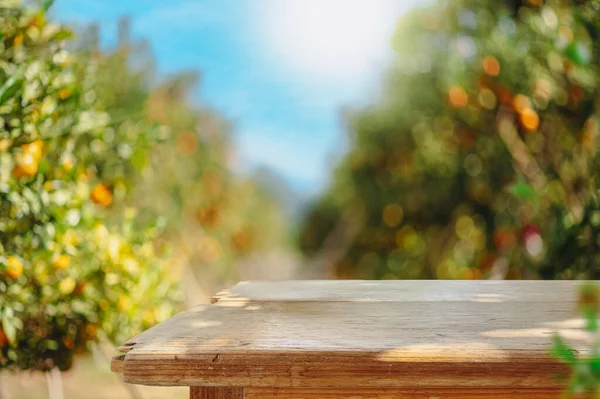 Empty Wood Table Free Space Orange Trees Orange Field Background — Stock Photo, Image