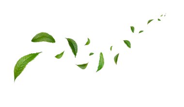 Yeşil Yüzen Yapraklar Uçuyor Yeşil Yaprak Dansı, Hava Arındırıcı Atmosfer Basit Ana Resim