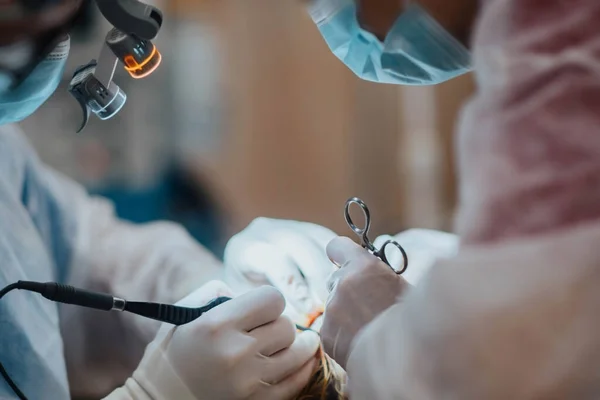 Plastický Chirurg Operuje Pacientem Brýlemi Baterkou Operačním Sále — Stock fotografie