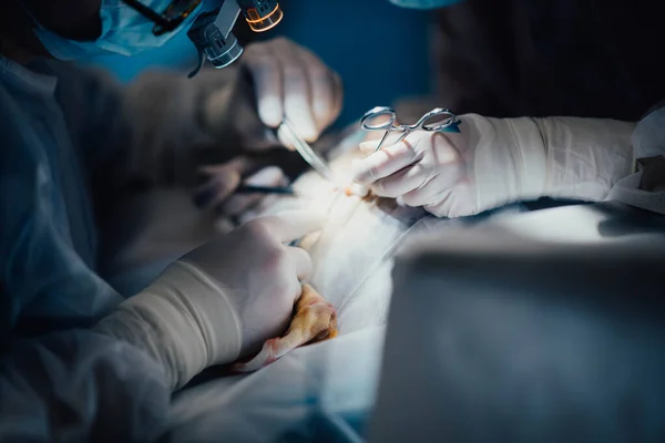Ameliyathanede Cerrahların Takım Çalışması Eldiven Yakın Plan Cerrahi Aletler — Stok fotoğraf