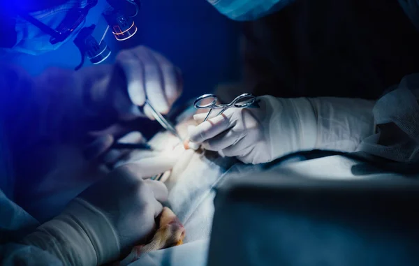 Хірургічна Операція Руки Хірурга Помічника Інструментами — стокове фото