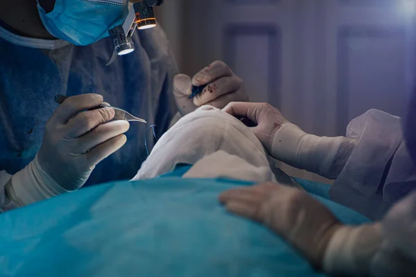 Týmová Práce Operačním Sále Chirurgův Asistent Chirurga Operuje Ruce Drží — Stock fotografie