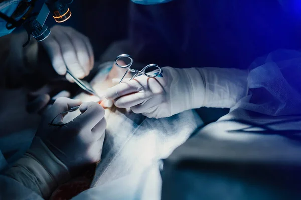 Operação Cirúrgica Mãos Cirurgião Assistente Com Ferramentas — Fotografia de Stock