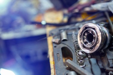 Garajda yeni bir araba sürücüsü var.