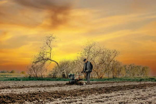 Muž Orá Pole Ručním Traktorem Pluhy Při Západu Slunce Farmář — Stock fotografie