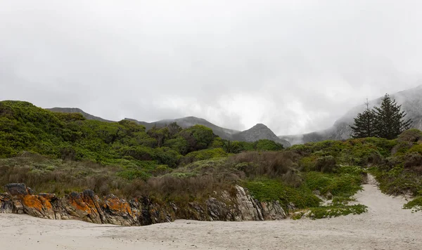 Atlantik Kıyısındaki Pürüzlü Kayalar Kıyılar Grotto Sahili Nde Hermanus Yakınlarında — Stok fotoğraf