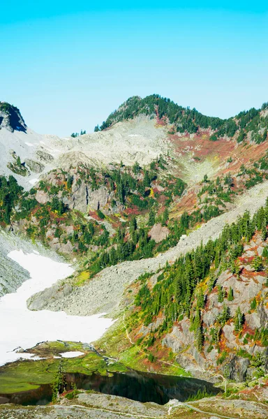Washington Eyaletindeki Dağlar Bir Vadi Ağaçlar Hafif Bir Kar Örtüsü — Stok fotoğraf