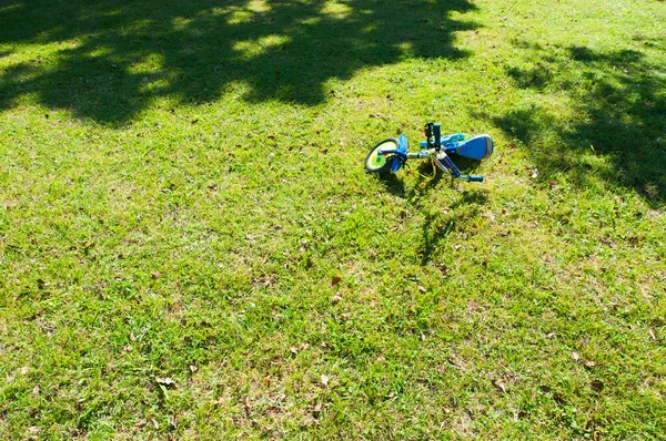 Small Two Wheeled Decorated Child Bicycle Its Side Grass — Stok fotoğraf