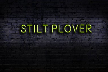 Üzerinde yazı olan neon levhası tuğla duvara yapışmış. Gece görünümü