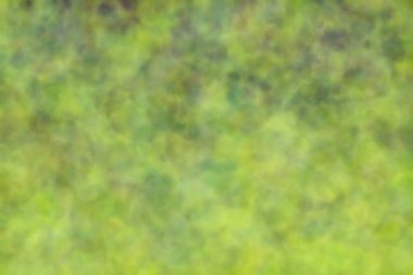 Değişken geçiş ve ışık noktalarıyla soyut yeşil arkaplan. Yumuşak bokeh